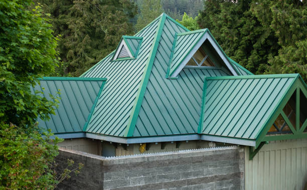 Best Chimney Flashing Repair  in Louisville, GA