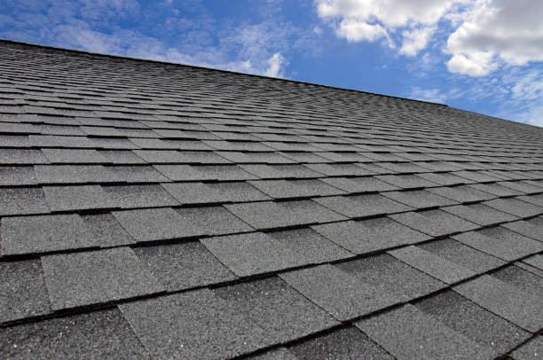Best Skylight Installation and Repair  in Louisville, GA